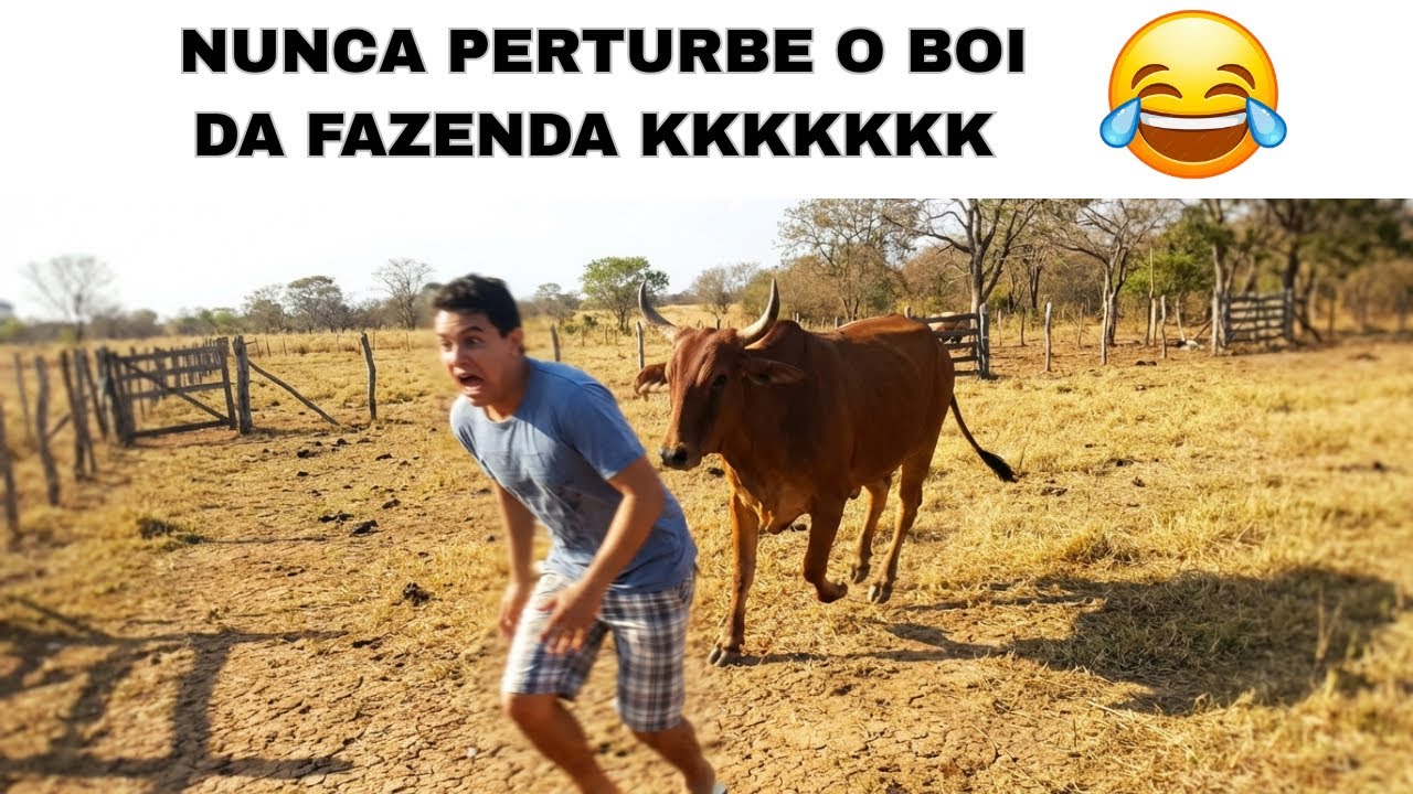 SE LASCOU!! 😂🤣 (TENTE NÃO RIR) os memes mais engraçados da internet 