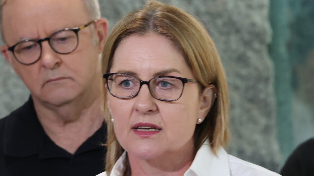 &lsquo;Big problem&rsquo;: Allan government under fire over bushfire response