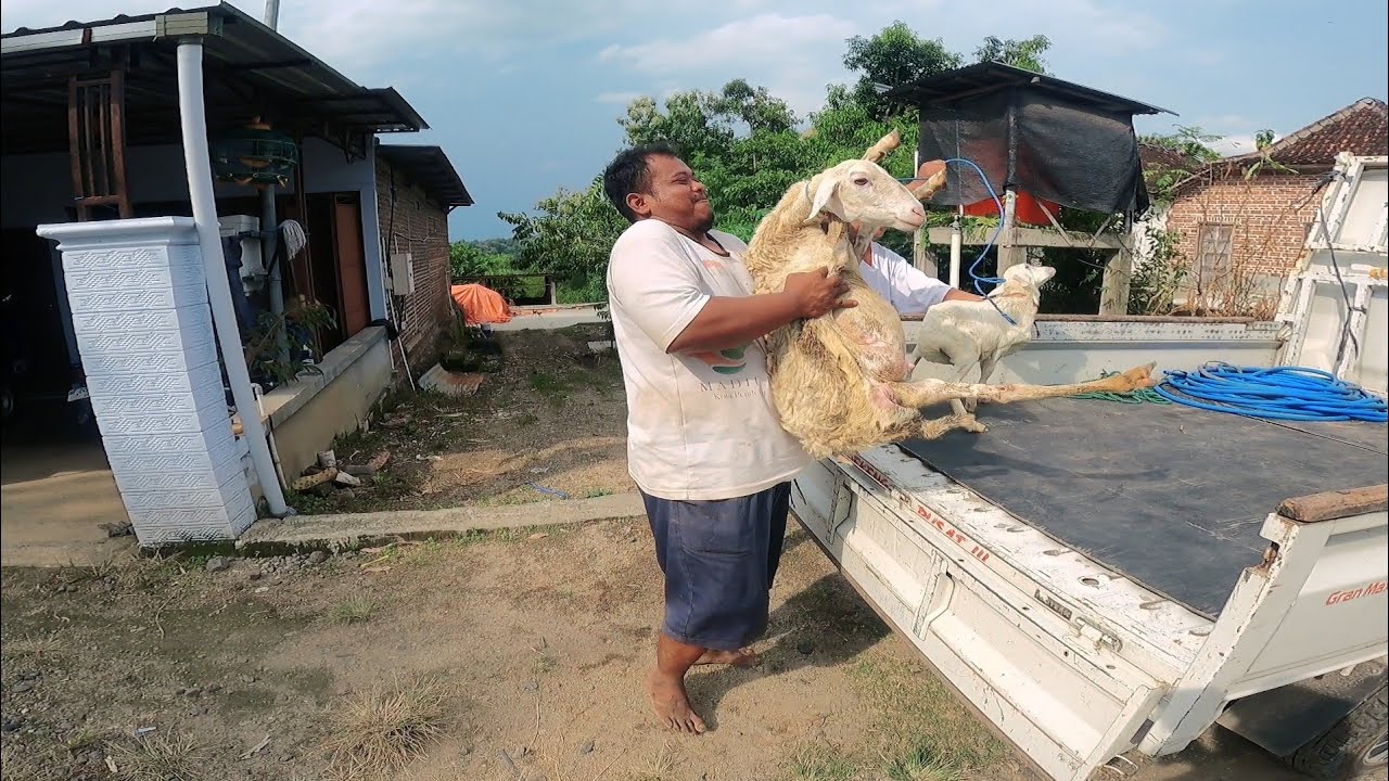 KABAR NEWS PAGI INI