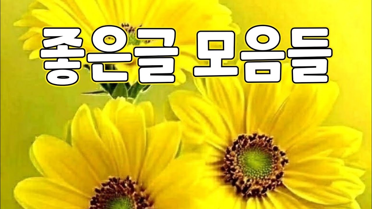 좋은글 모음