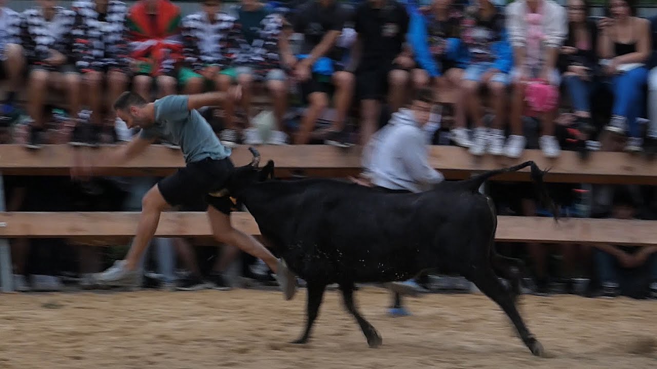 VOLANDO VOY! Vaquillas Lasarte-Oria 2023