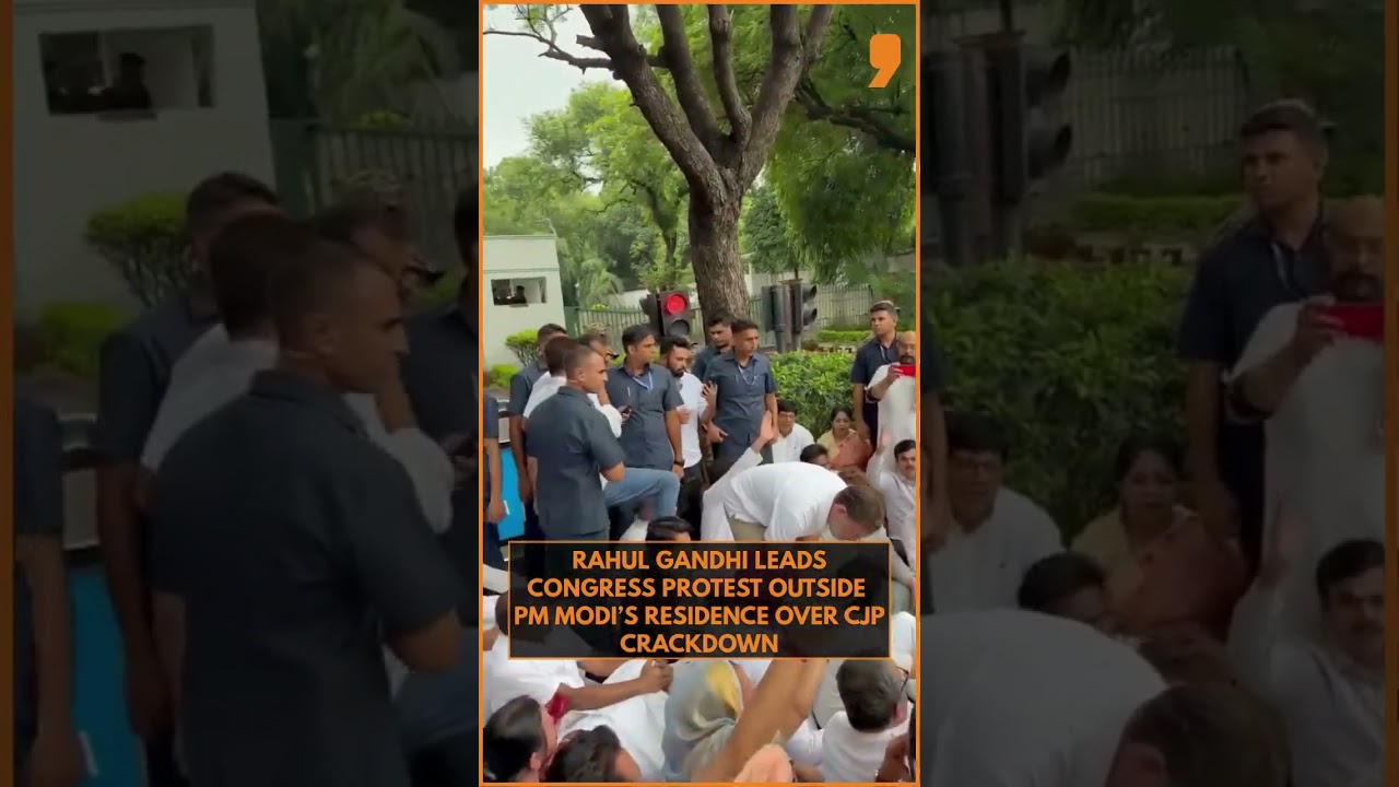 Rahul Gandhi, Priyanka Gandhi Vadra and other Congress MPs staged a protest outside PM House