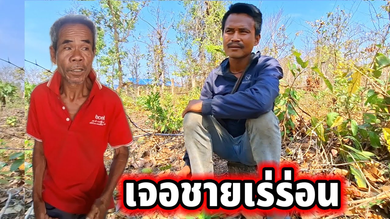 หนุ่มรันพูดแล้วเรื่องไก่ท่านหมอที่ผู้ใหญ่ซื้อให้‼️🐓 24 กุมภาพันธ์ ค.ศ. 2026