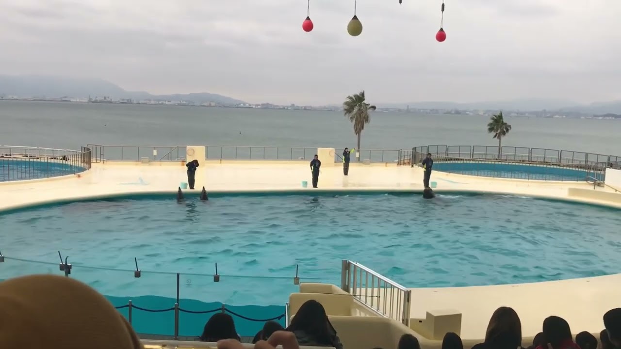 Marine World (Part 1) - Uminonakamichi, Fukuoka Japan #marineworld #watershow #dolphin #japan