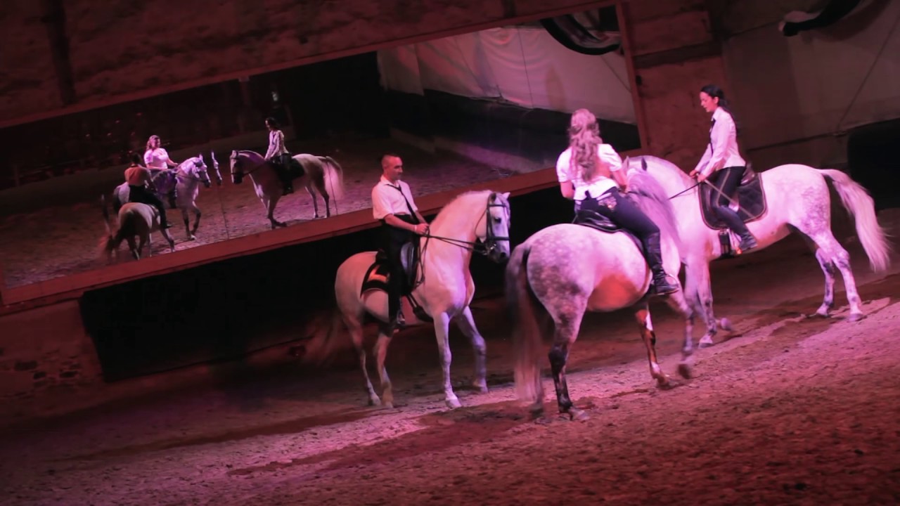 Cabaret/spectacle équestre Pompadour 2016