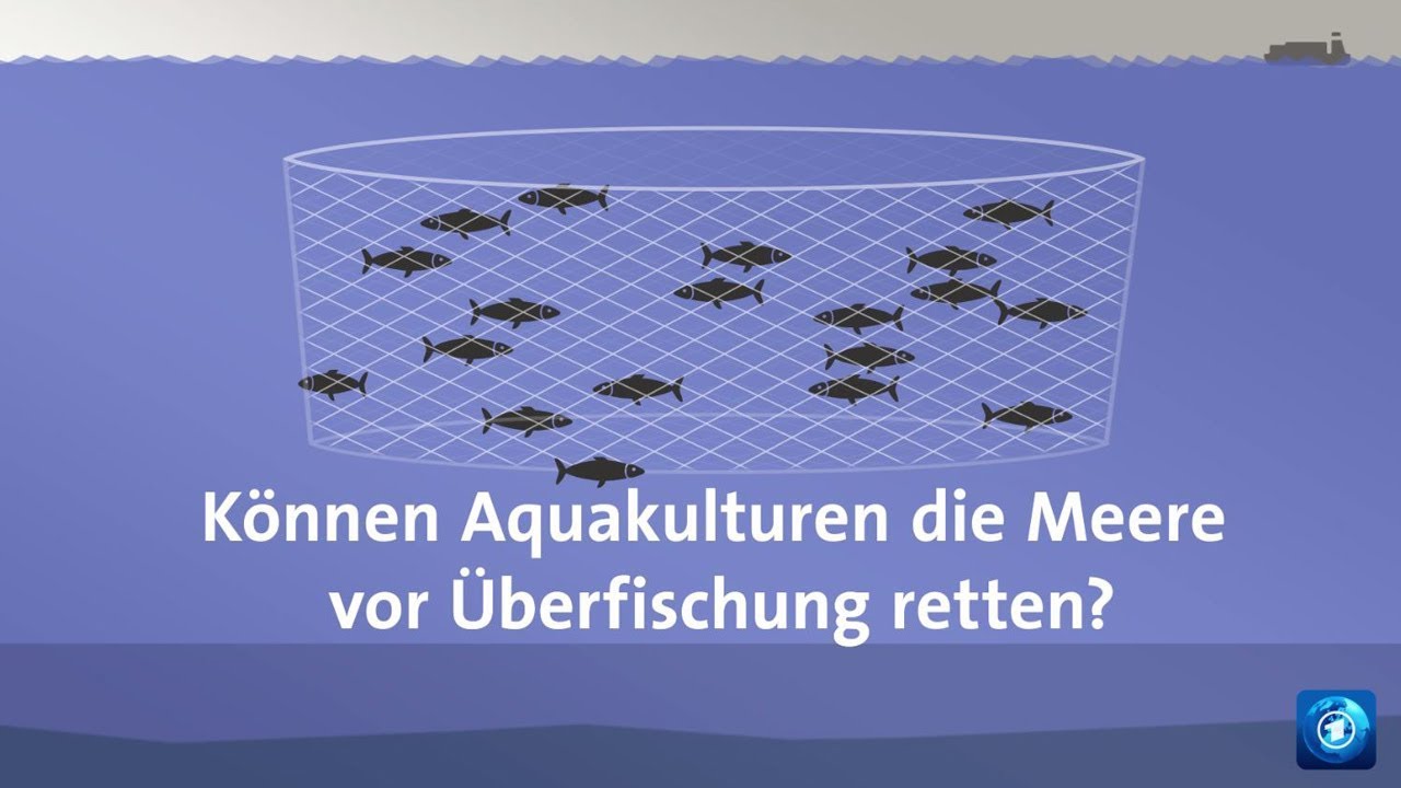 &Uuml;berfischung: Helfen Aquakulturen?