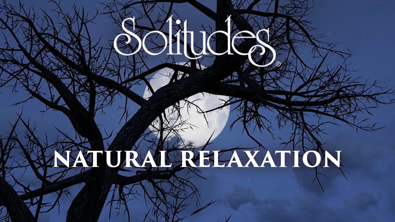 Dan Gibson&rsquo;s Solitudes - Moonlit Meadows | Natural Relaxation