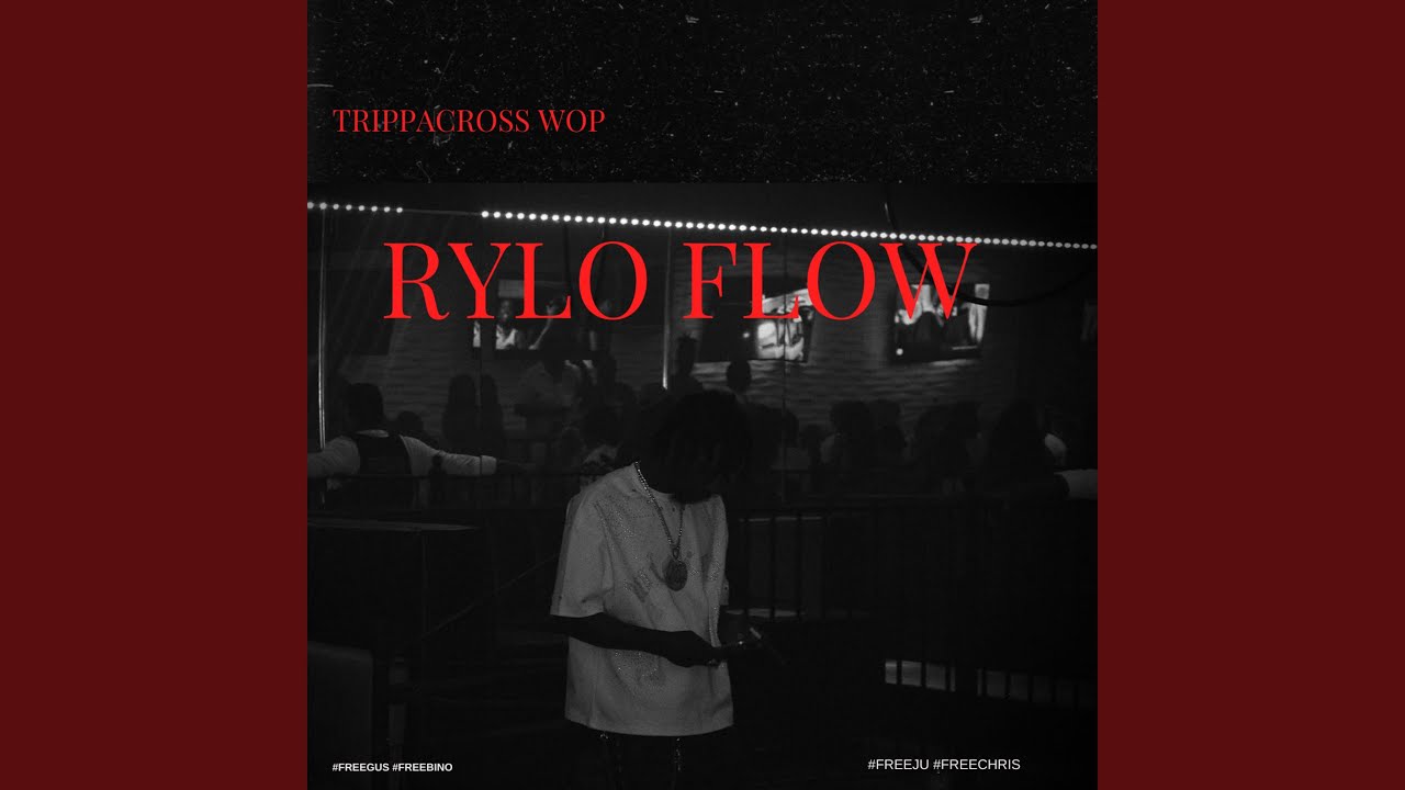 Rylo Flow