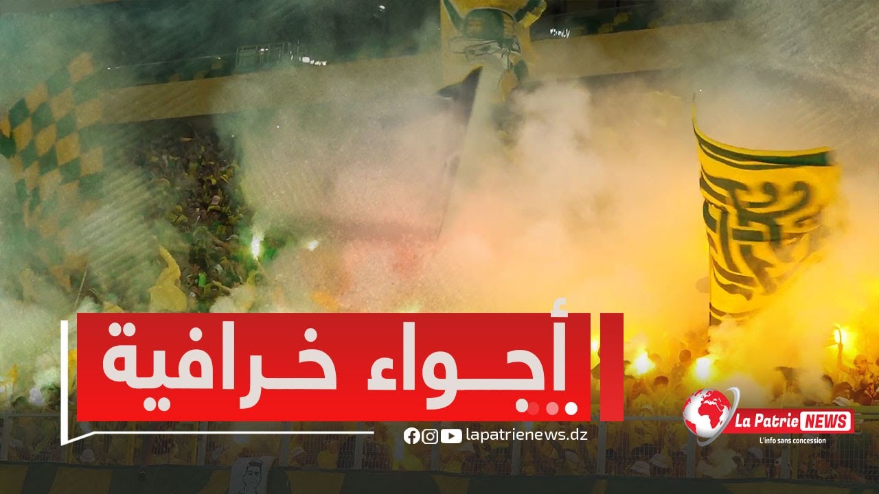 #شاهد.. 