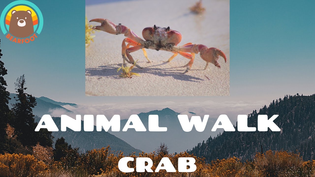 Animal Walks - Crab Walk