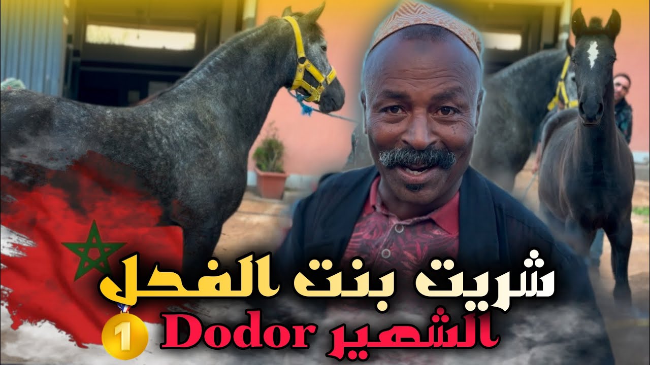 شـريت جـدعة بنت الفحل شهير Dodor مـول 90 مليون 🥇 وجدع دهم ملكي بلوريقات واش كين لمليح ولا لا ‼️‼️