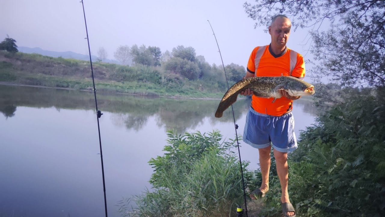 pescuit pe Someș, somn de 7kg crapul încă se lasă așteptat.