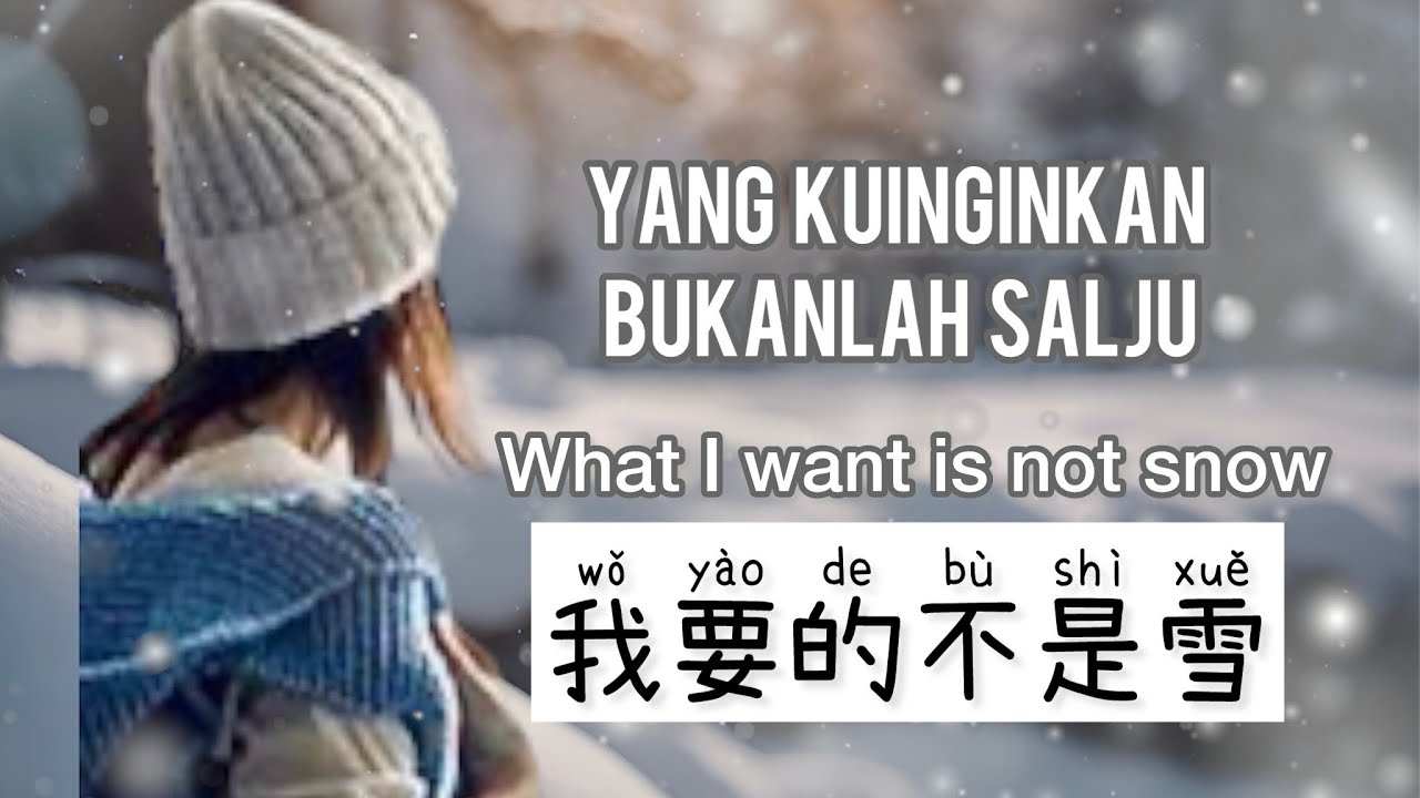 我要的不是雪 - Wo Yao De Bu Shi Xue - Li Fa fa - 李发发 - Yang Ku Mau Bukanlah Salju -What I want is not snow