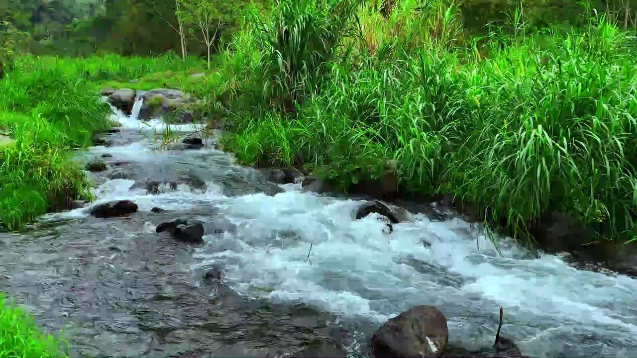 Calm Water Flow for Meditation and Mental Ease