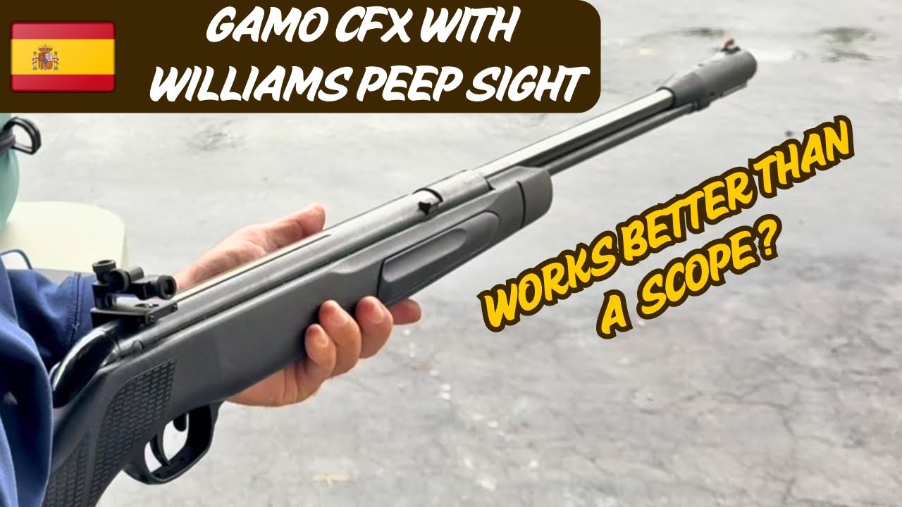Gamo CFX .22 - 50 yd Plinking Test