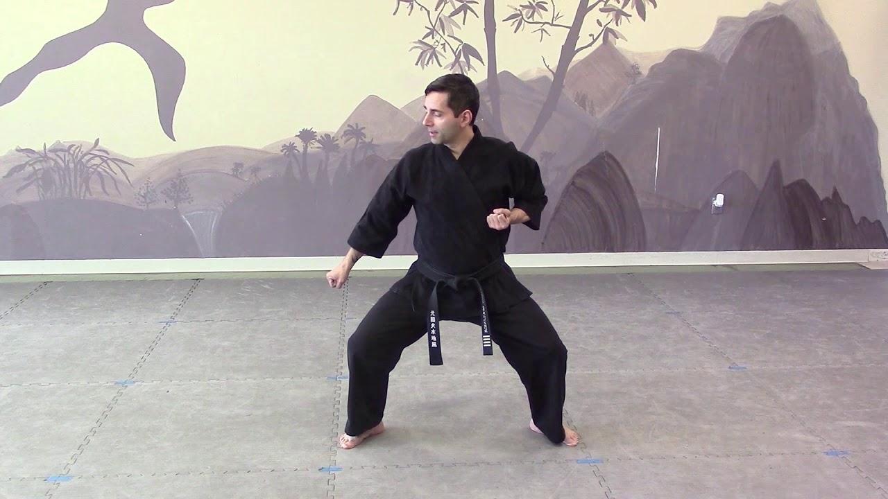 BMA - Yellow Belt Kata – Fukyugata Ni (Mirrored)