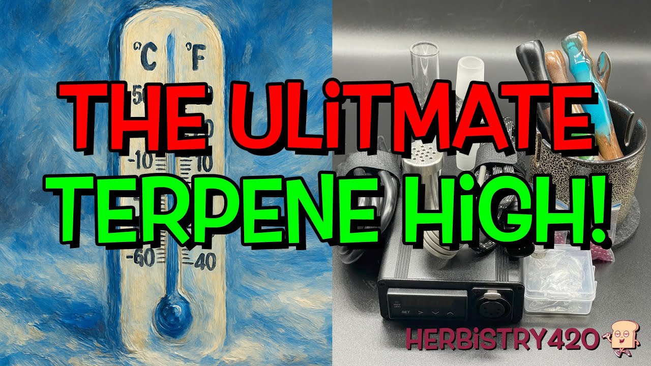 Chasing the Ultimate Terpene High &ndash; Taroma 360 Low Temp Magic 💨✨