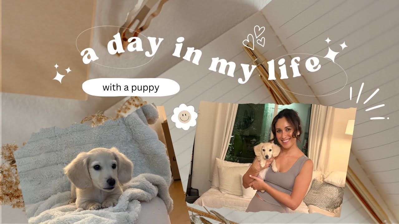 Day in the Life: Puppy Training a Stubborn Mini Dachshund + Sushi Night