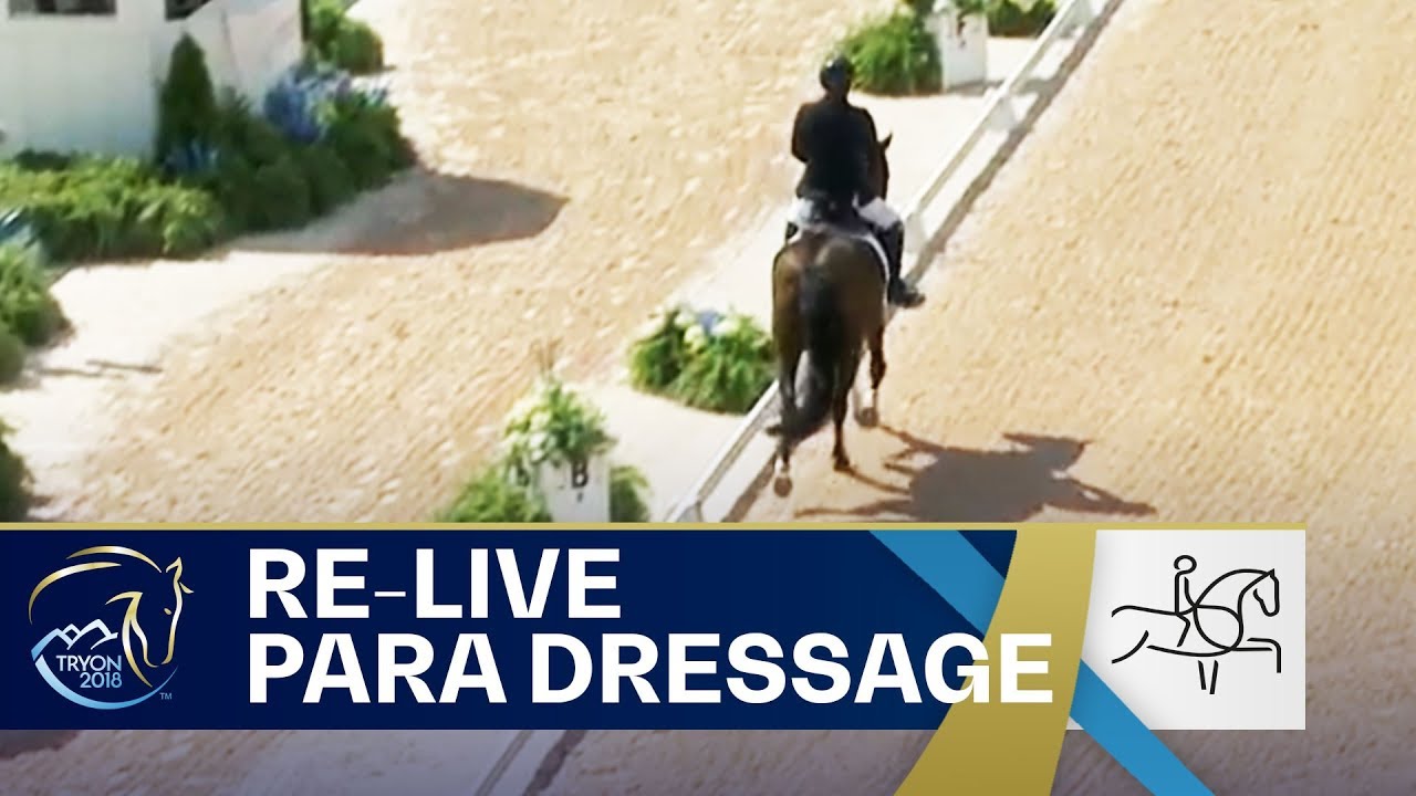 RE-LIVE Para-Dressage – Grade I, II, III Team | FEI World Equestrian Games 2018