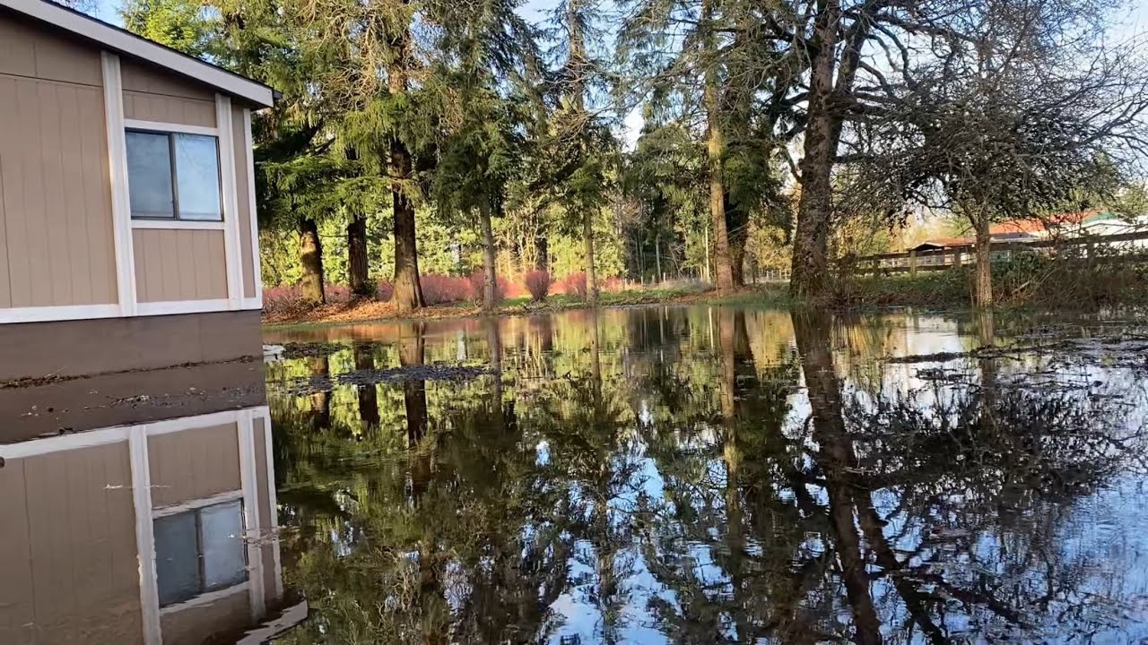 #ASMR #RAIN IN FREST #VILLAGE 