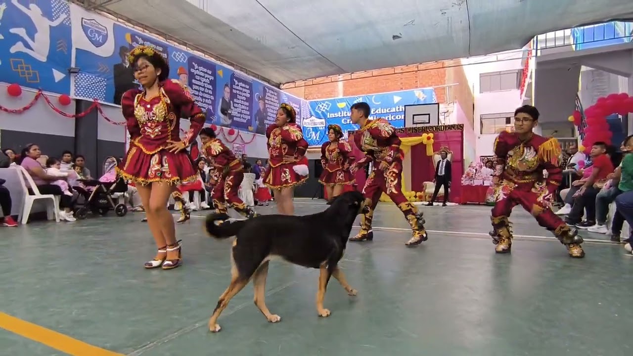 CAPORALES NEGRITA LOS KJARKAS - 2025