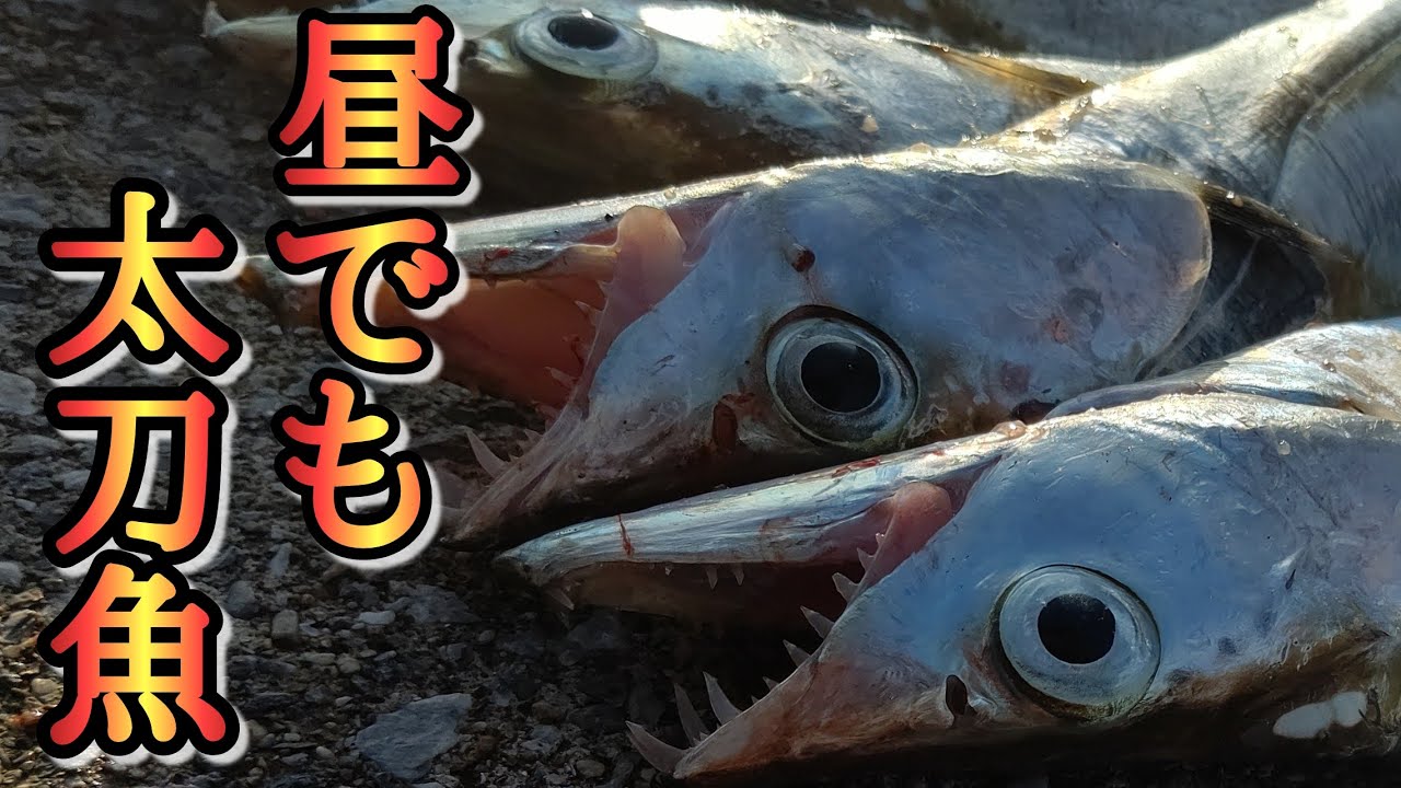 【釣り】太刀魚がハマるルアーが見つかりそうです【沖繩釣り】