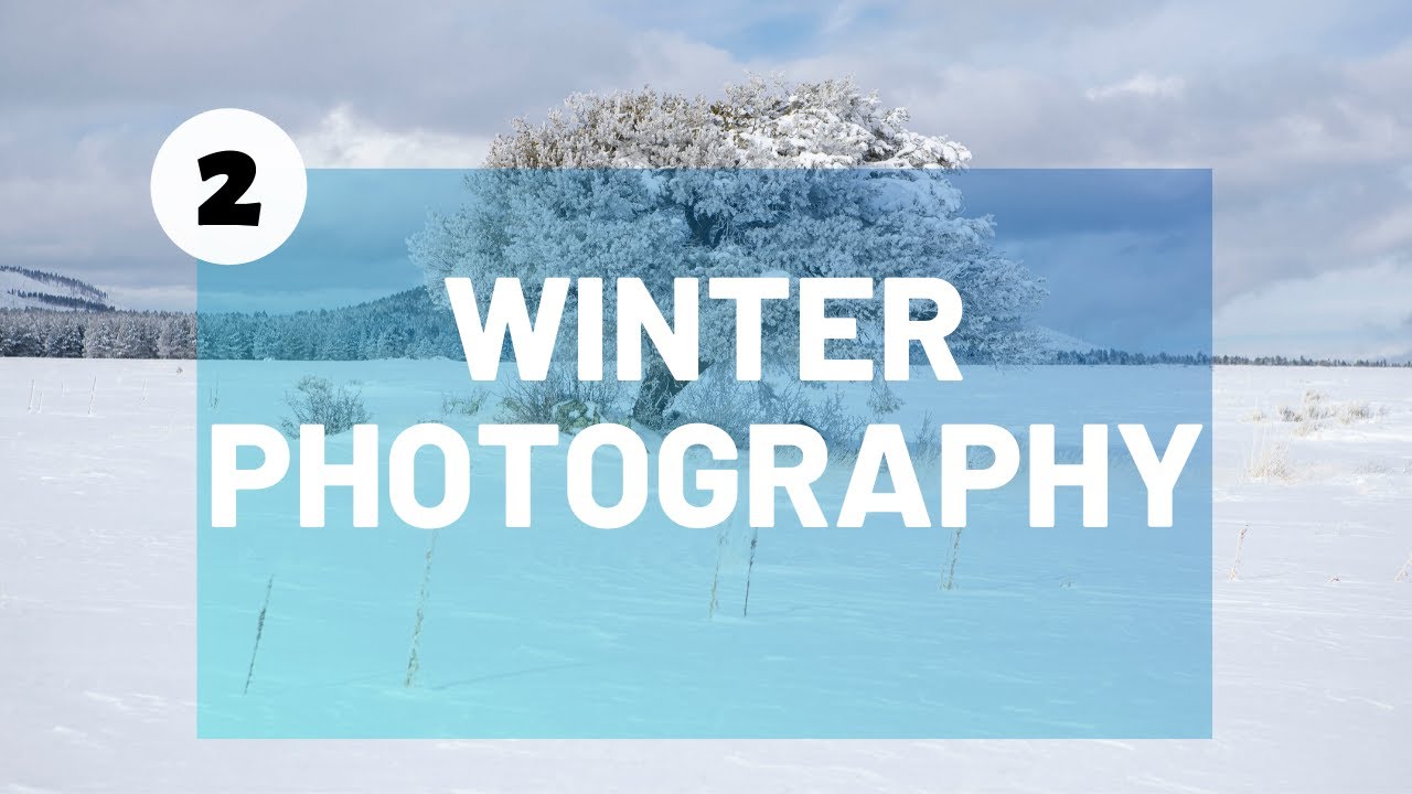 Photographing INTIMATE Nature Scenes / Winter Landscape Photography