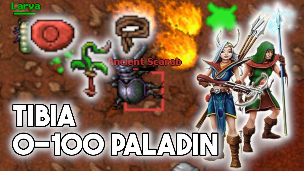 [PL] Tibia 0 - 100 LVL | Paladin (RP) | 90 - 95 LVL #18