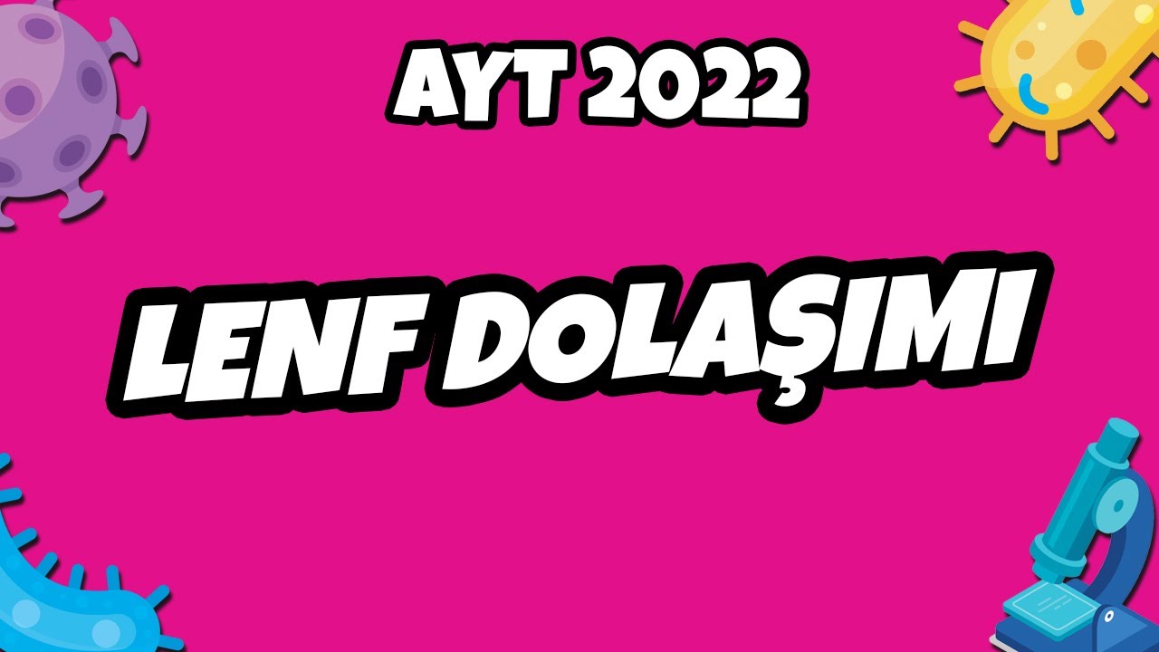 Lenf Dolaşımı | AYT Biyoloji 2022 #hedefekoş