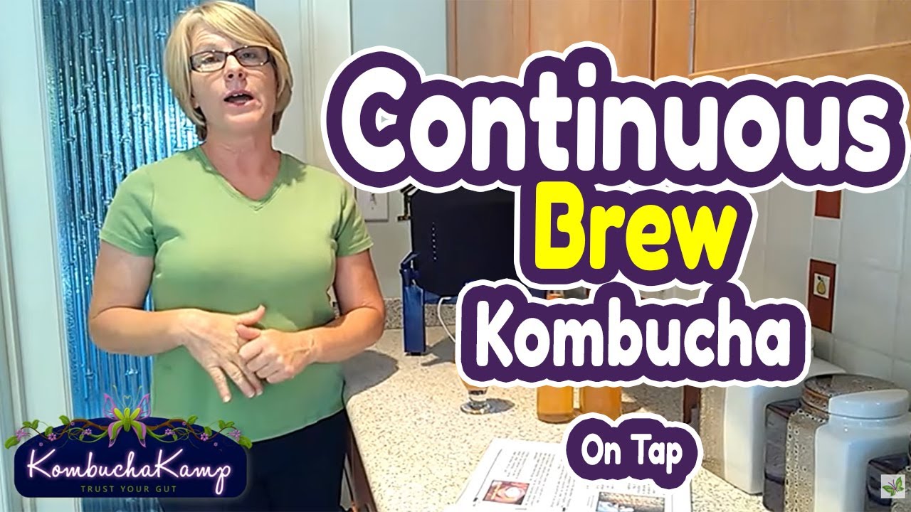 Continuous Brew Kombucha On Tap - Lisa Hainsworth Loves Kombucha Kamp!