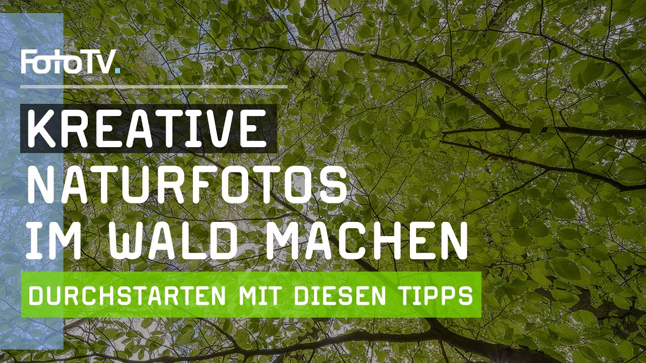 Naturfotos im Wald - 3 Tipps von unseren Profis🌳​| FotoTV.