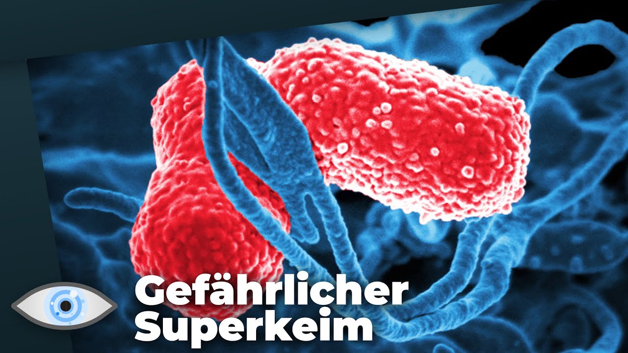 Superkeim macht Europa unsicher! Weltgesundheitsorganisation warnt vor “dringender Gefahr” - Clixoom