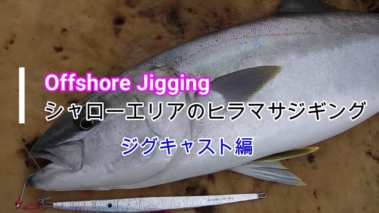 【ヒラマサジギング】ジグキャストでシャローエリアのヒラマサ考察