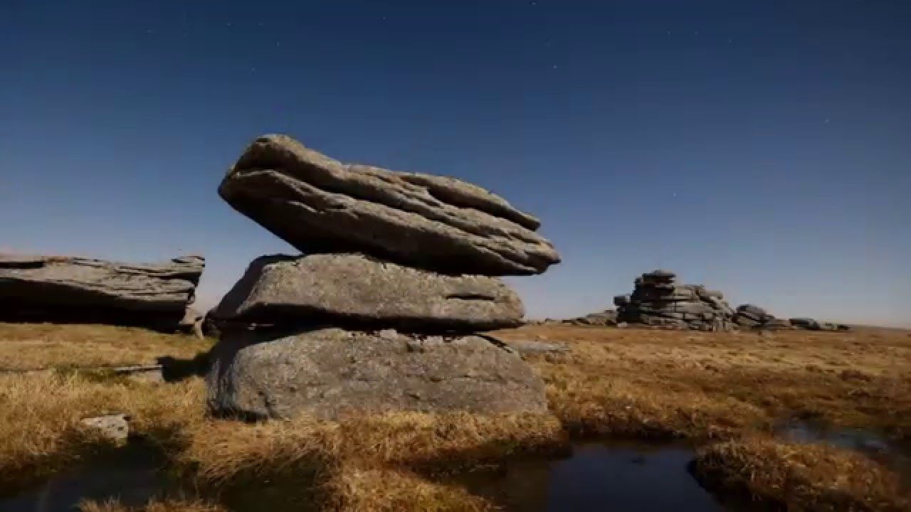 Wild Dartmoor