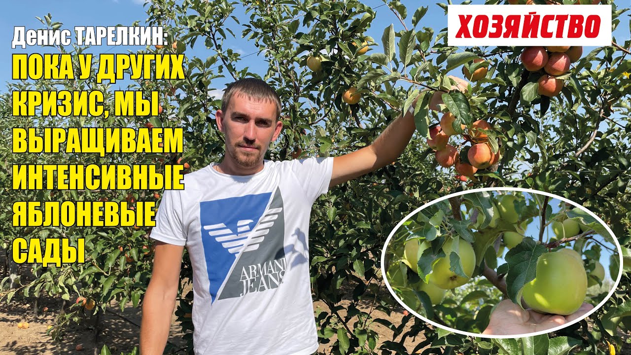 Денис Тарелкин: Пока у других кризис, мы выращиваем интенсивные яблоневые сады