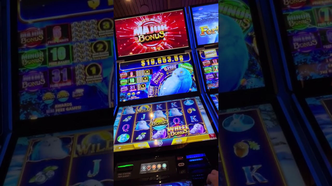 Fortune Owl at Pechanga