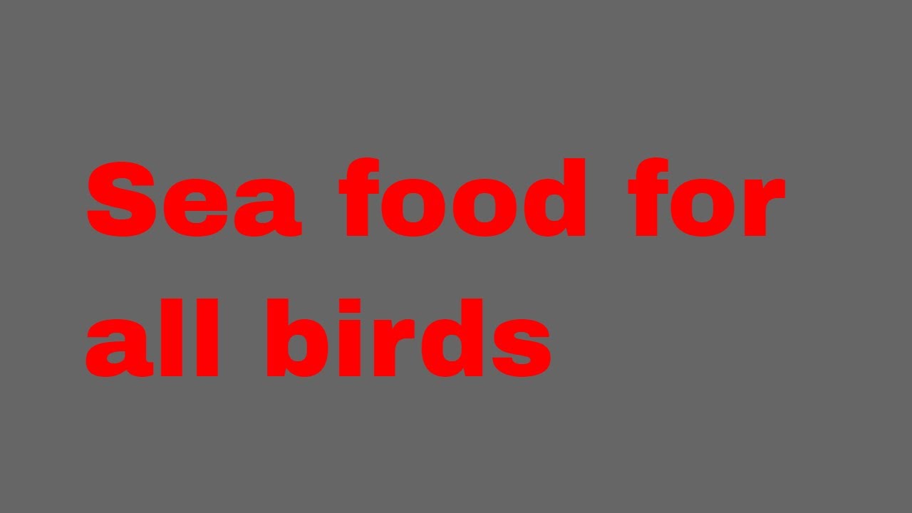 birds breeding foods | mixsead for lovebirds | lovebirds winter softfoods [sea food ]#birds