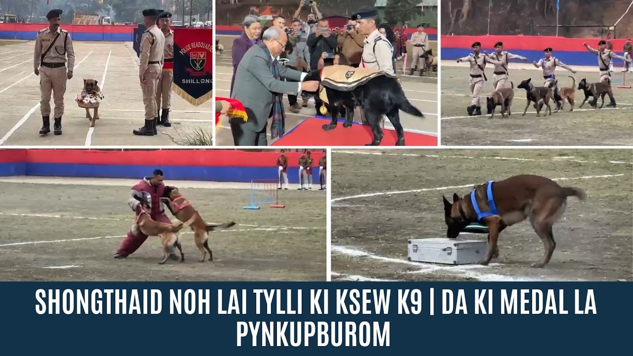SHONGTHAID NOH LAI TYLLI KI KSEW K9 | DA KI MEDAL LA PYNKUPBUROM