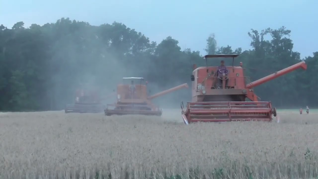 Trzy bizony na jednym polu🌾 czyli polskie żniwa 2022🔥