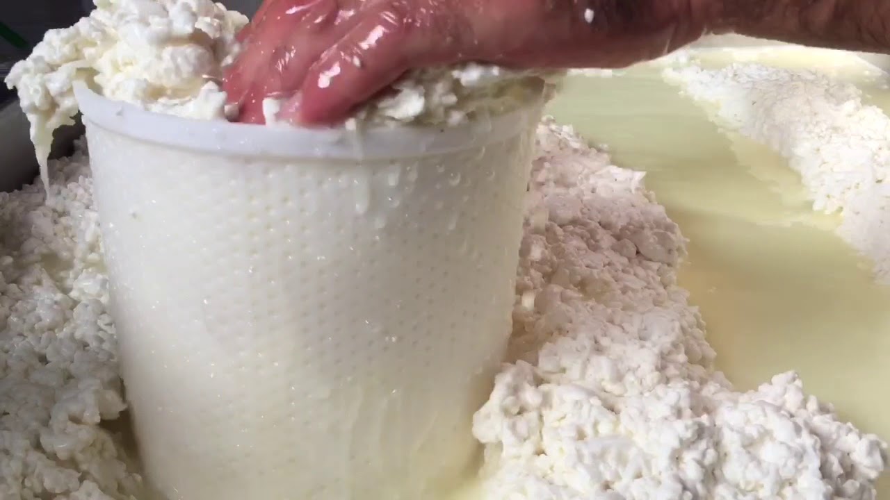 Siciliani Creativi - Il pecorino di Osilo - Sardinian pecorino cheese from Osilo