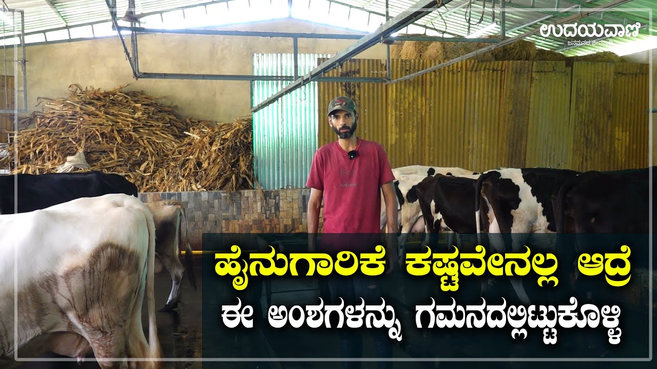 ಹೈನುಗಾರಿಕೆ ಕಷ್ಟವೇನಲ್ಲ ಆದ್ರೆ ಈ ಅಂಶಗಳನ್ನು ಗಮನದಲ್ಲಿಟ್ಟುಕೊಳ್ಳಿ  | Udayavani