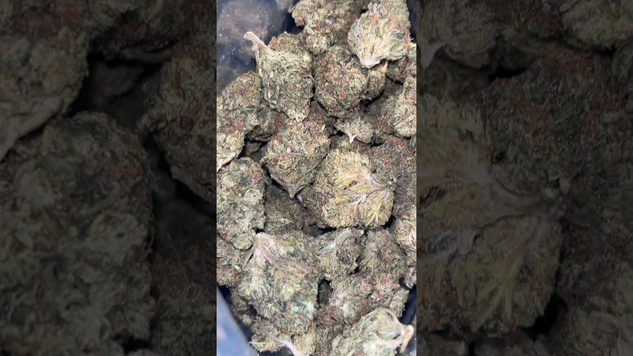 ThcaSmallBuds Strawberry Cough