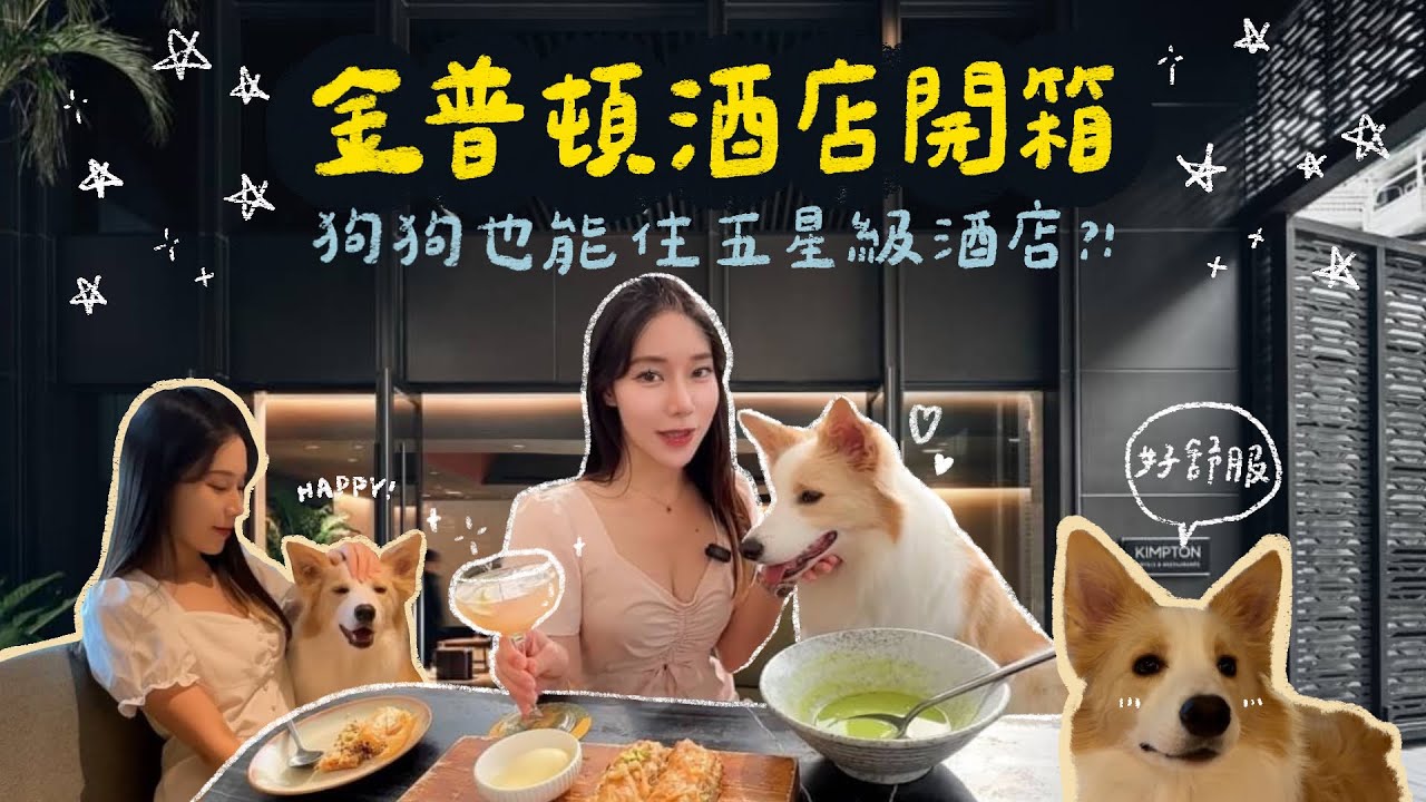 台北旅遊指南｜狗狗也能住五星級酒店？大安金普頓酒店開箱｜#寵物友善飯店 #vlog #台北住宿 ｜動物心球【心兒】