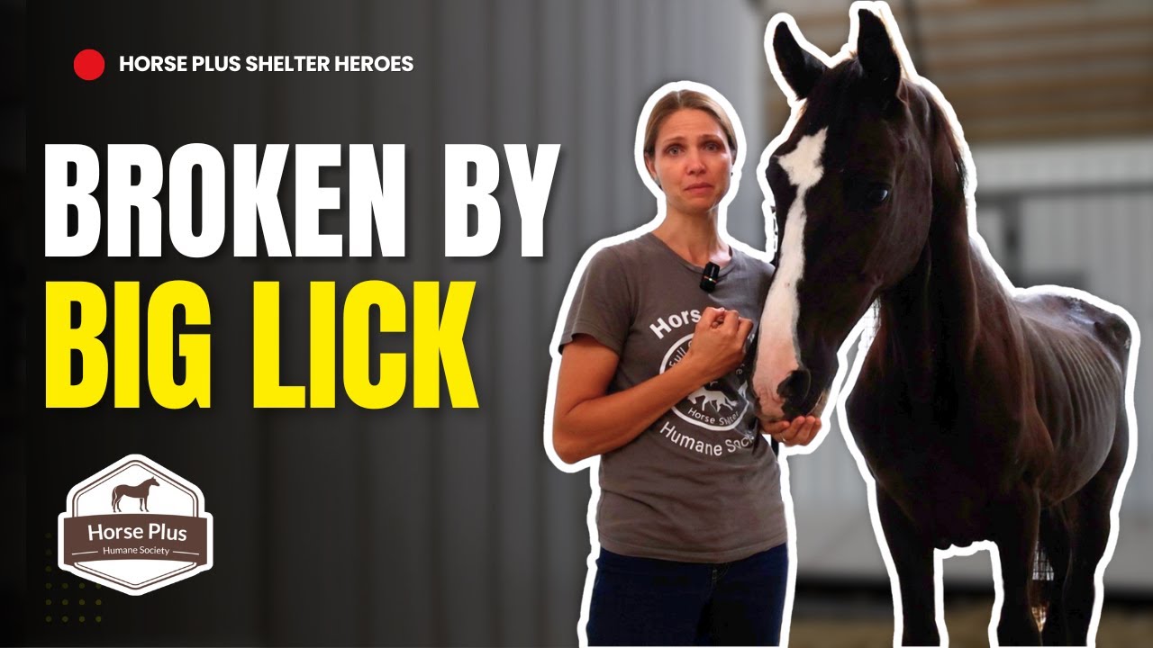 He Didn't Make It... I Horse Shelter Heroes - S6 E19