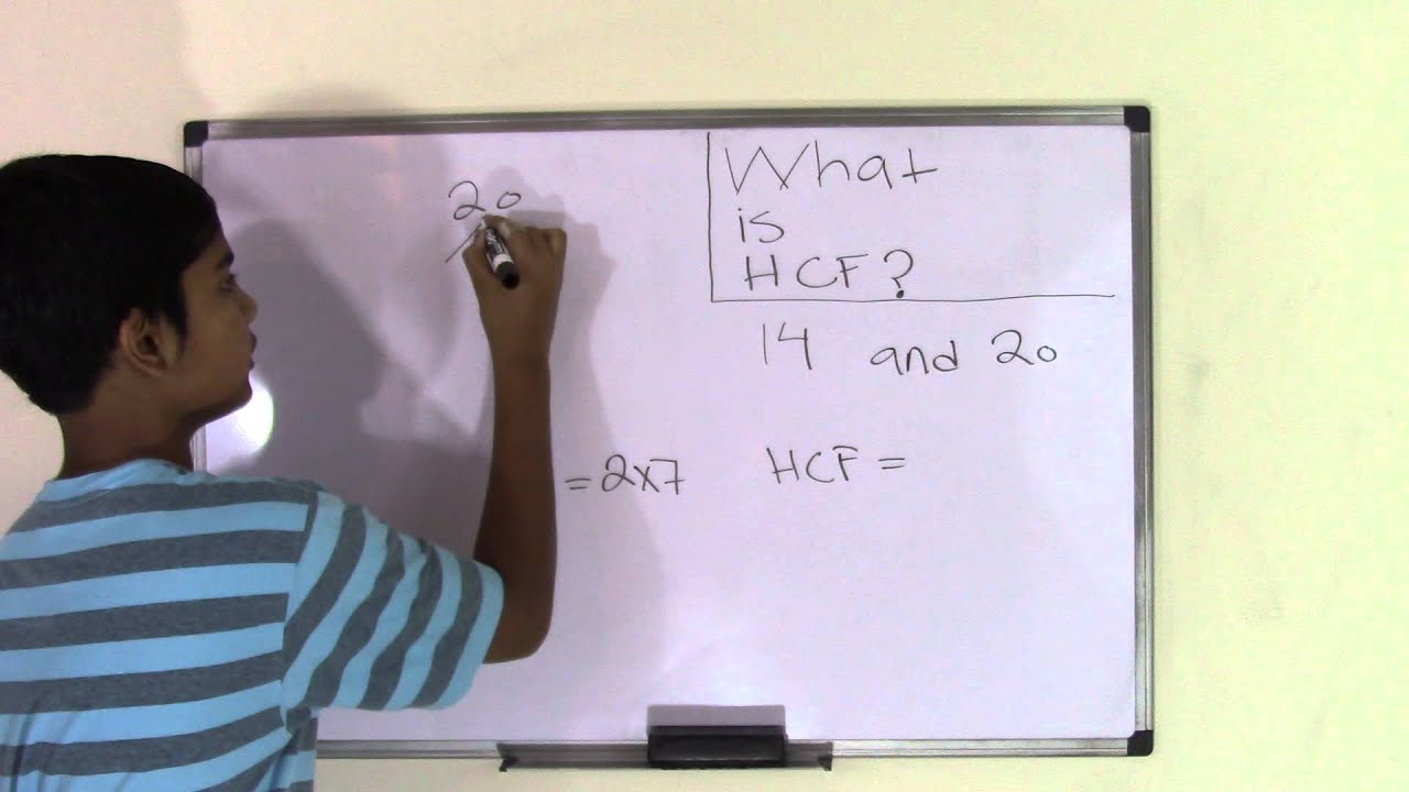 6th Grade Math What is HCF