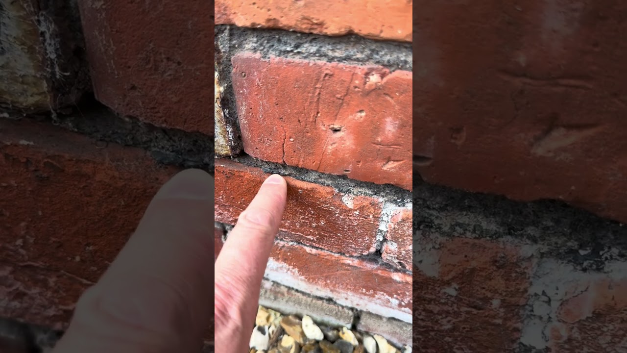 Damp proof course stops rising damp #risingdamp #construction #dpc #brick #wall