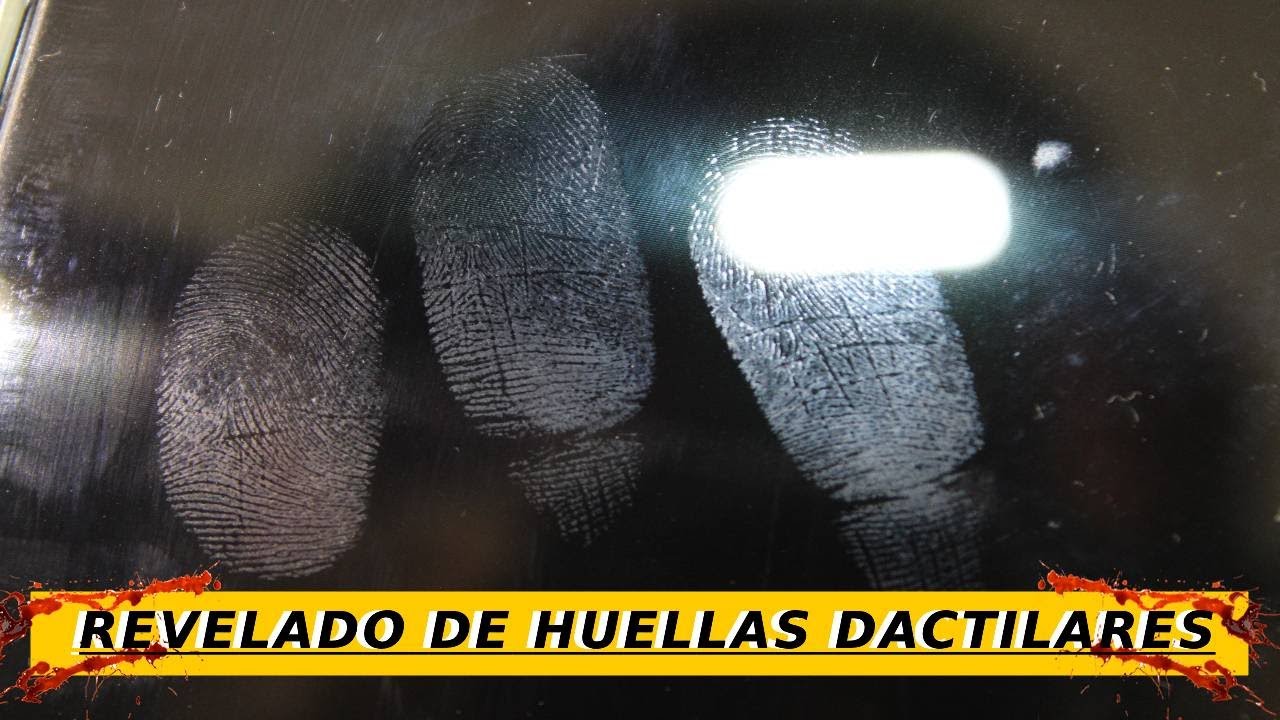 Revelado y levantamiento de huellas paso a paso