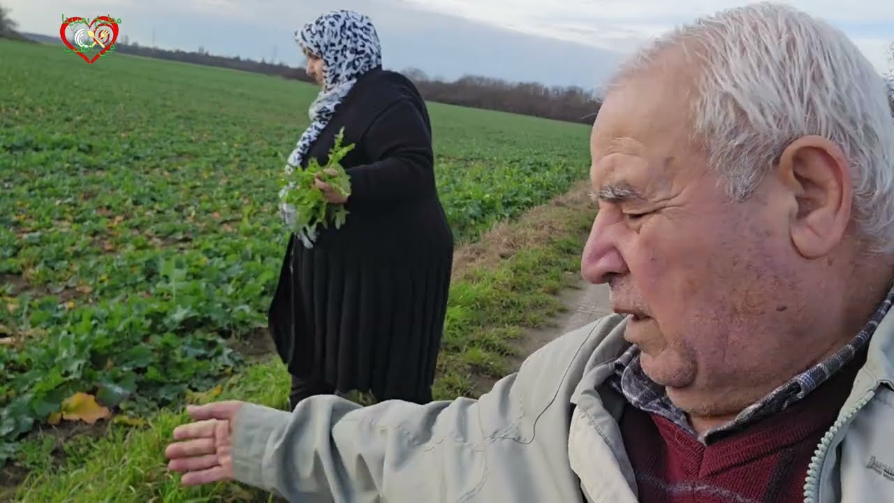 روتين اليومي واكلة الحويش