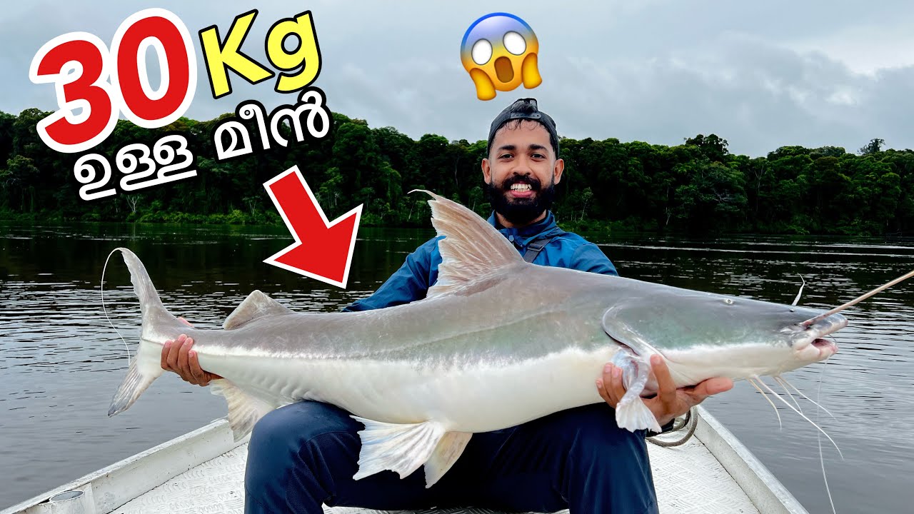EP #05 Biggest Catfish In Amazon River | ചൂണ്ടയിൽ പിടിച്ച മീനിനെ കണ്ടോ??