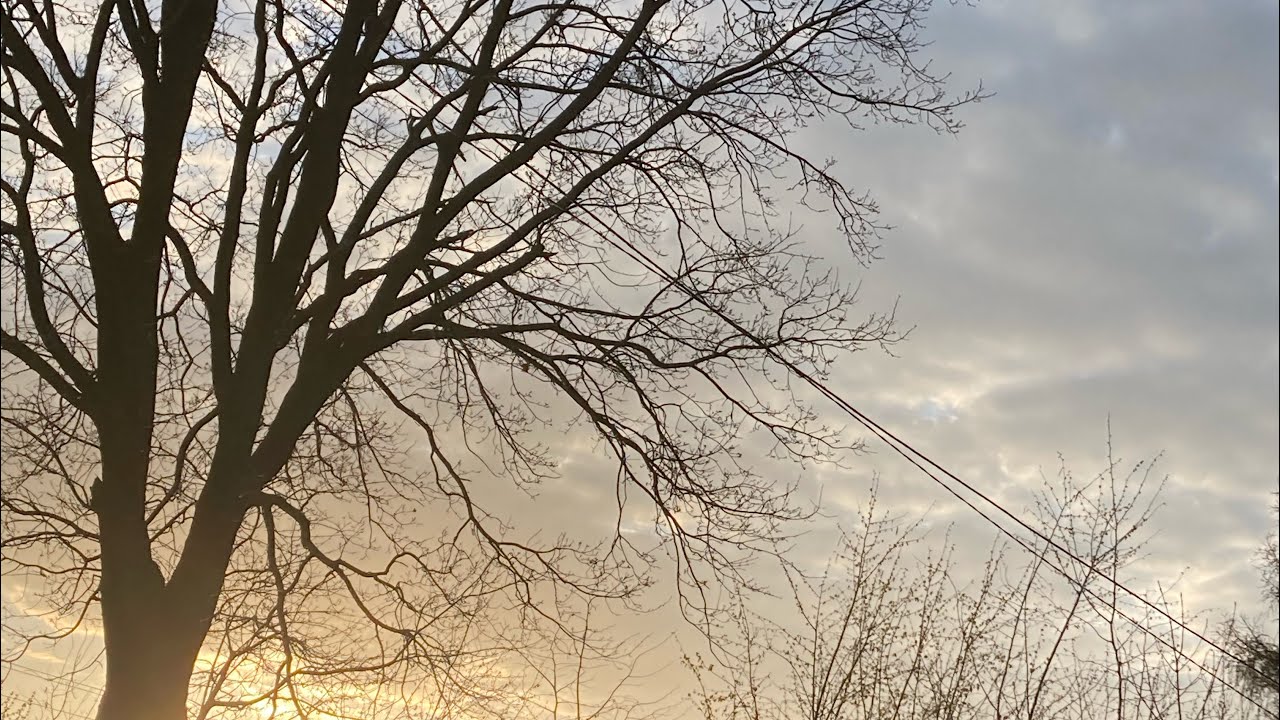POTĘGA SKOKU NA HARIBIE ! ILE SKOCZYLIŚMY ? W końcu wiosna !!!🐸🌸🌼🌞☘️🍀